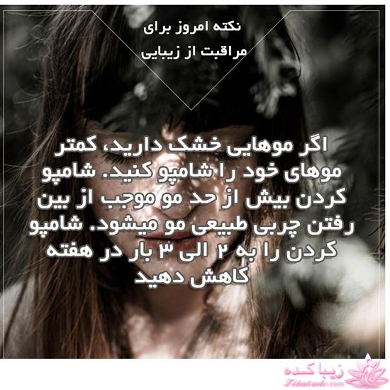 Zibakade Hits / محبوبترینهای زیباکده در تلگرام 