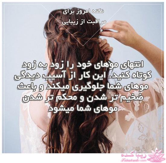 Zibakade Hits / محبوبترینهای زیباکده در تلگرام 