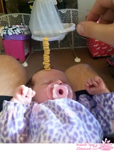 Zibakade Hits / محبوبترینهای زیباکده در تلگرام 