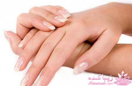 Zibakade Hits / محبوبترینهای زیباکده در تلگرام 