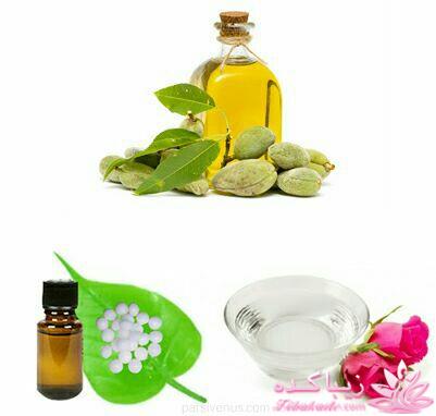 Zibakade Hits / محبوبترینهای زیباکده در تلگرام 