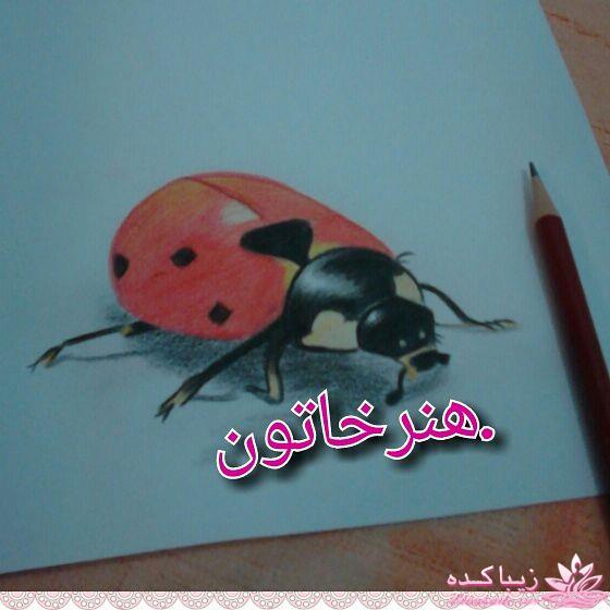 آموزش بافت فرش و زیر انداز های خلاقانه 