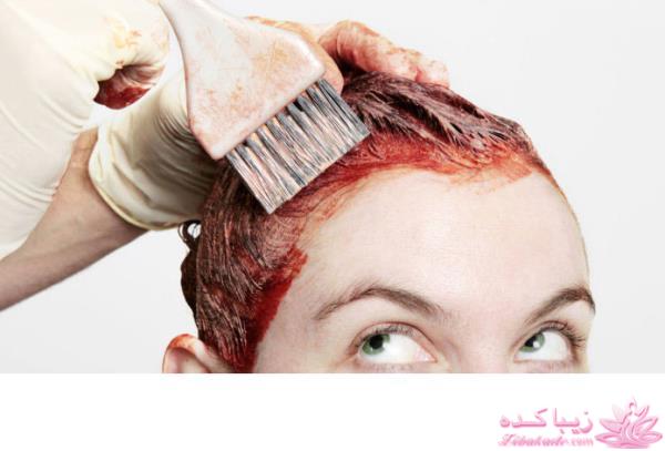 Zibakade Hits / محبوبترینهای زیباکده در تلگرام 