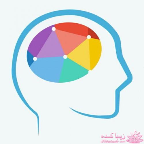 باهوش ها بیان ،جواب بدن