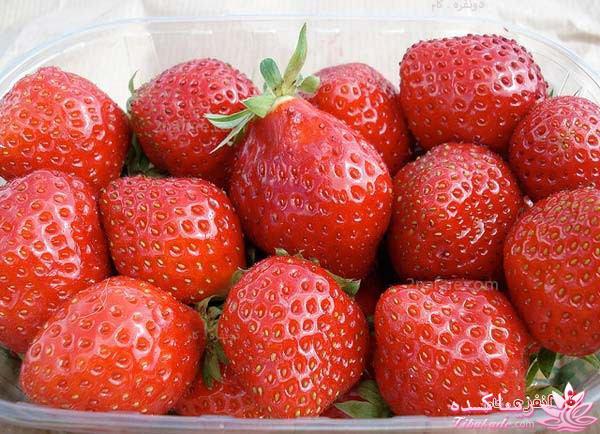 انواع ماسک برای پوست شما