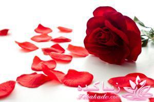 لب های زیبا وبراق بدون آرایش لب