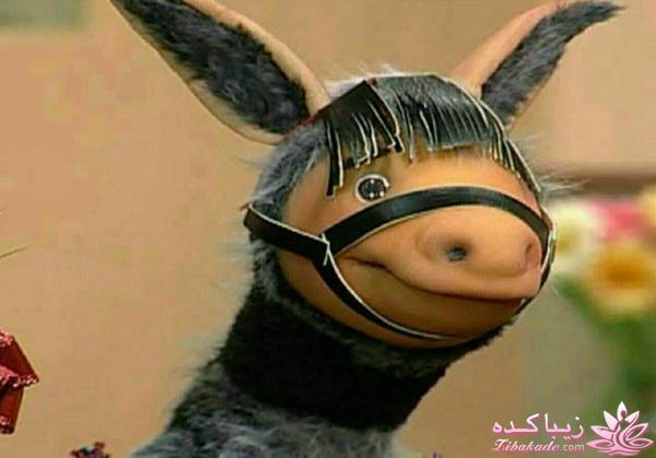 كافه گفت وگو ...