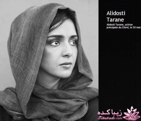 Zibakade Hits / محبوبترینهای زیباکده در تلگرام 