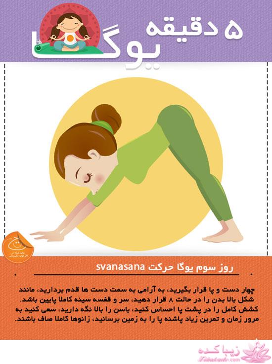 Zibakade Hits / محبوبترینهای زیباکده در تلگرام 