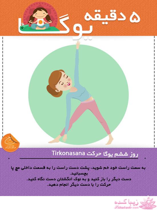 Zibakade Hits / محبوبترینهای زیباکده در تلگرام 