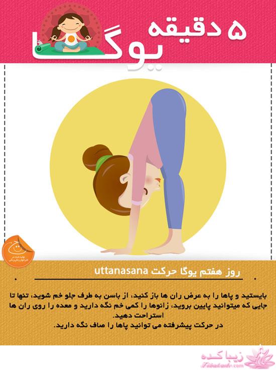 Zibakade Hits / محبوبترینهای زیباکده در تلگرام 