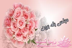 Zibakade Hits / محبوبترینهای زیباکده در تلگرام 