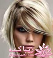 Zibakade Hits / محبوبترینهای زیباکده در تلگرام 