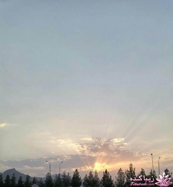 مسابقه عكاسي (بخش گفتگو و راي گيري )