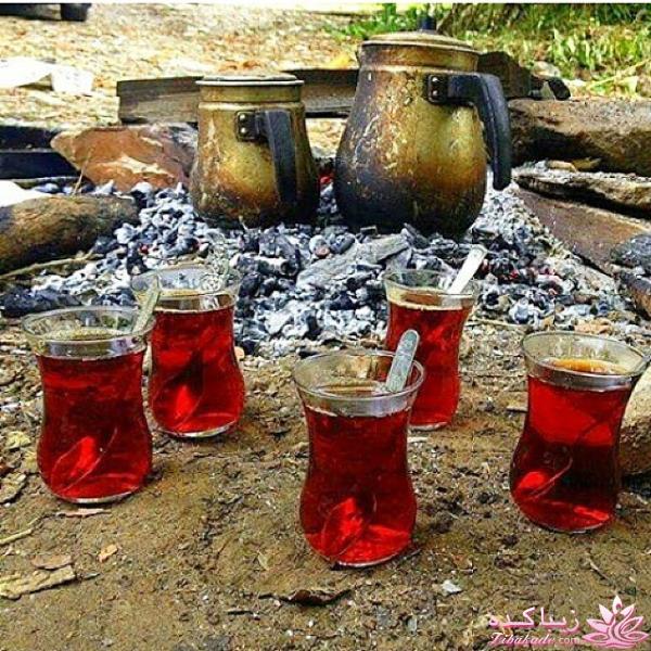 كافه گفت وگو ...