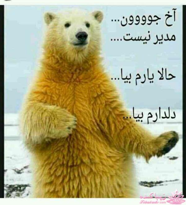 كافه گفت وگو ...