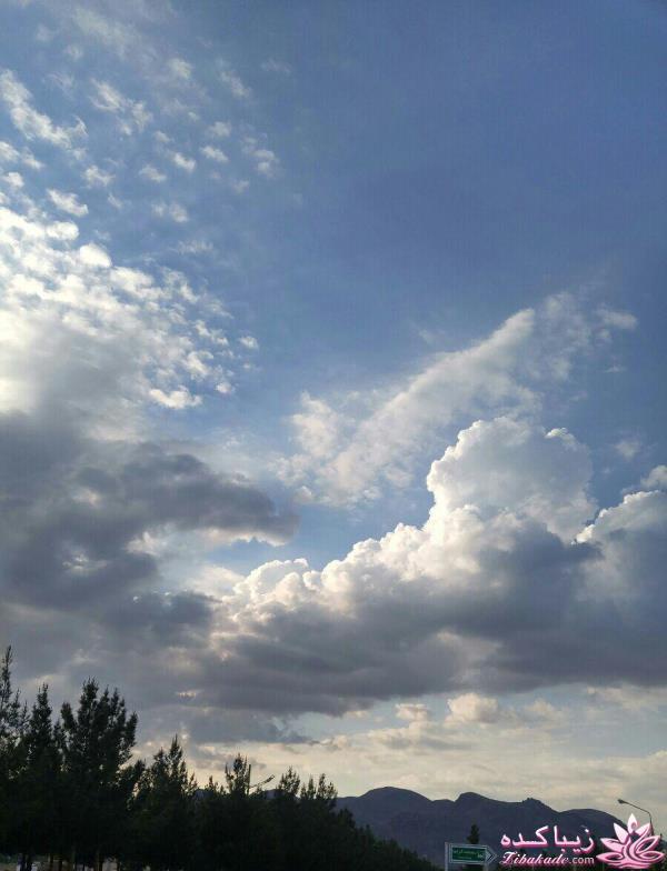 مسابقه عكاسي (بخش گفتگو و راي گيري )