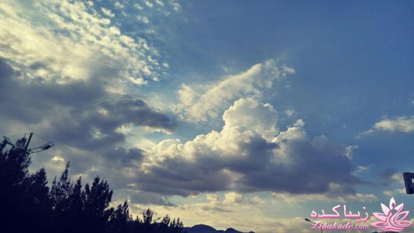 مسابقه عكاسي (بخش گفتگو و راي گيري )