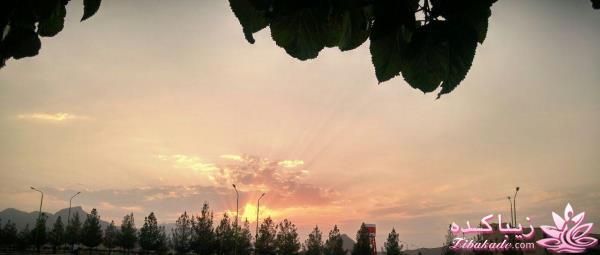 مسابقه عكاسي (بخش گفتگو و راي گيري )