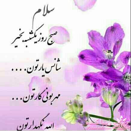 كافه گفت وگو ...
