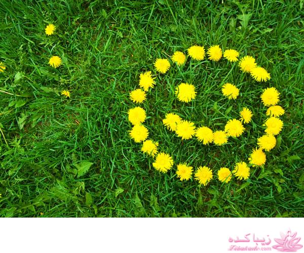 كافه گفت وگو ...