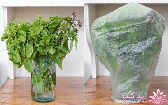 ایده های خلاقانه