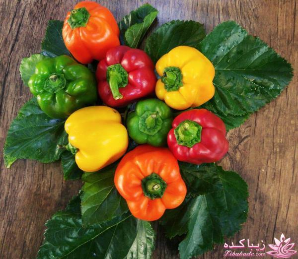 مسابقه عكاسي (بخش گفتگو و راي گيري )