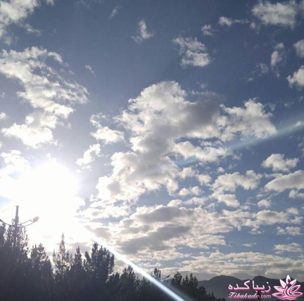 مسابقه عكاسي (بخش گفتگو و راي گيري )