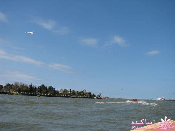 مسابقه عكاسي (بخش قرار دادن عكس )