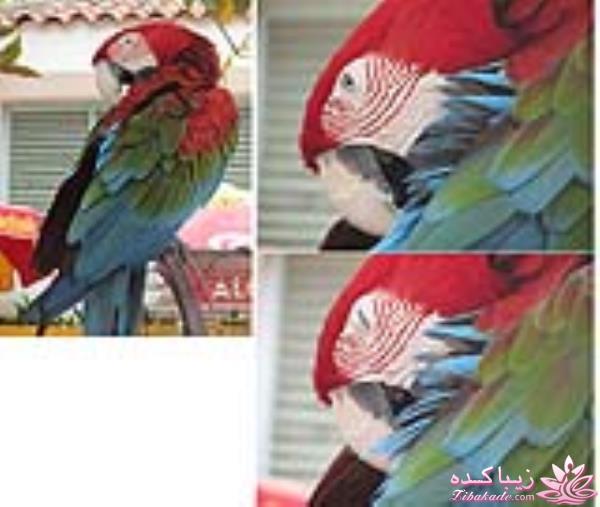 مسابقه عكاسي (بخش گفتگو و راي گيري )