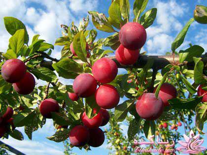 مناسب ترین ها و نامناسب ترین ها