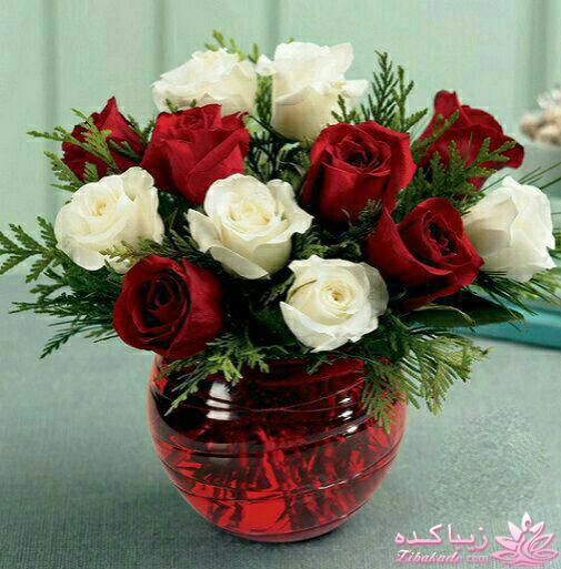 كافه گفت وگو ...