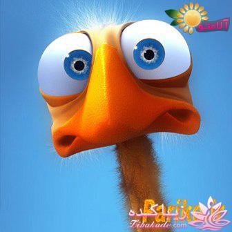 من شما را به چالش دعوت میکنم!