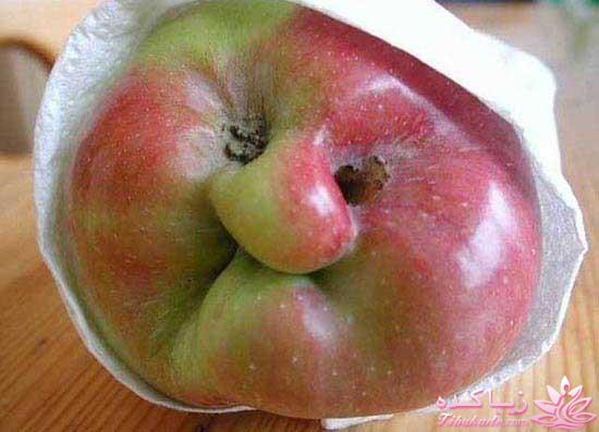 من شما را به چالش دعوت میکنم!