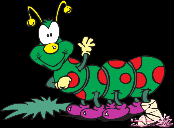 من شما را به چالش دعوت میکنم!