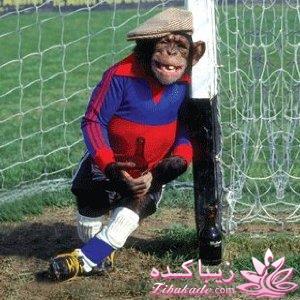 من شما را به چالش دعوت میکنم!