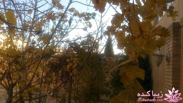 من شما را به چالش دعوت میکنم!