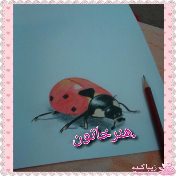 طراحی و نقاشی های زیبا