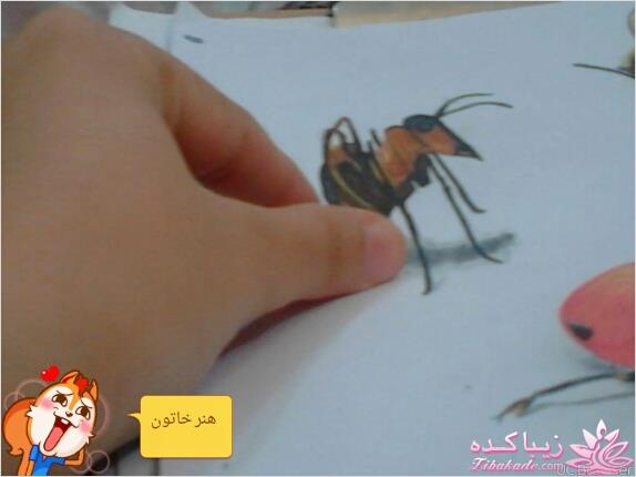 طراحی و نقاشی های زیبا