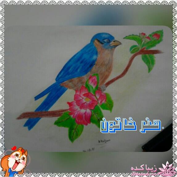 طراحی و نقاشی های زیبا