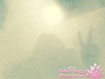 مسابقه عكاسي (بخش قرار دادن عكس )