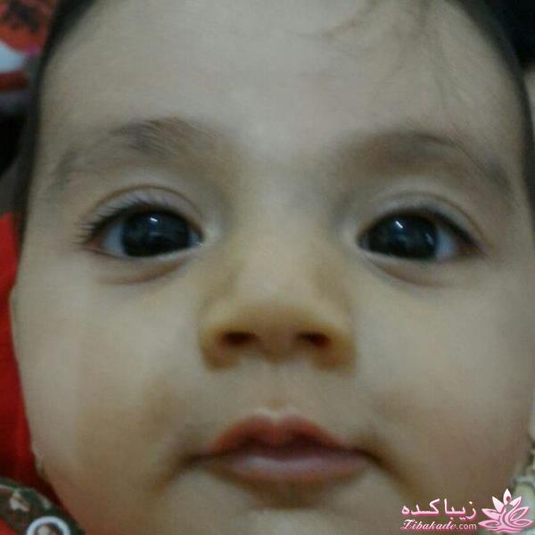 علی،جان پدر، به زندگی خوش آمدی(آلبوم عکس امیرعلی جان پدر ومادر)