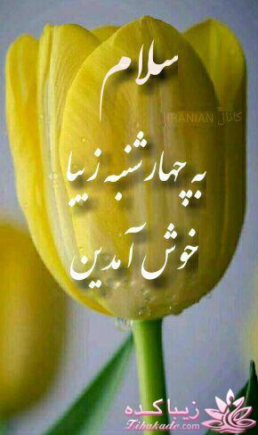 كافه گفت وگو ...