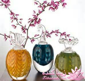 معرفی بهترین عطر و ادکلن ها