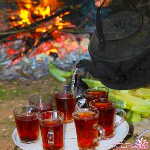 كافه گفت وگو ...