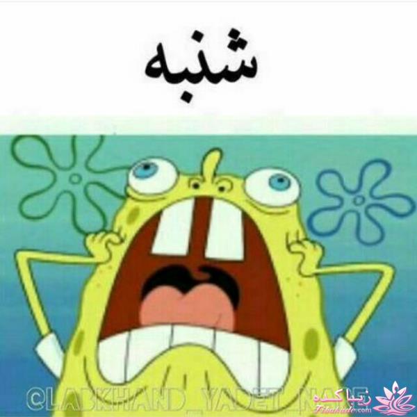 كافه گفت وگو ...