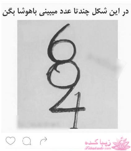 باهوش ها بیان ،جواب بدن