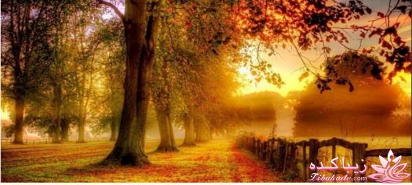 شعر و شیدایی