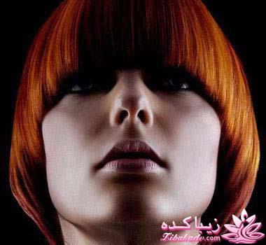 فرمول کامل تهیه انواع رنگ موهای شیک (عکس)