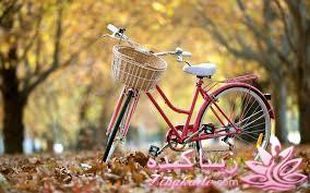 داستان ، خاطره ،نمونه کار ،کلا هرچی تو چنته دارم ...قراره اینجا بیارم :)